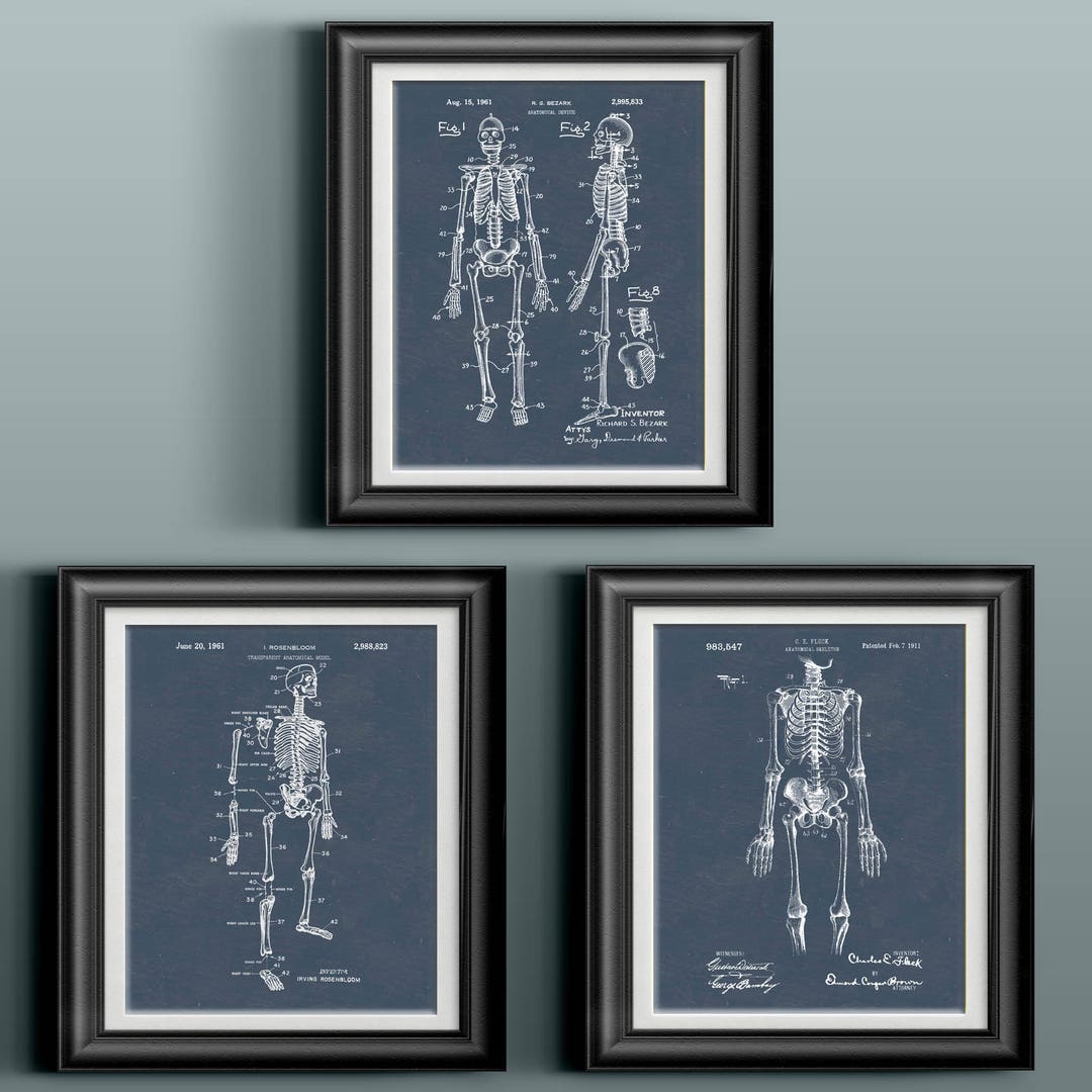 Skeleton Wall Art Human Skeleton Patent Art Medical Classroom Decor ...