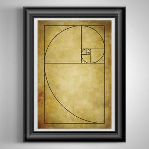 Fibonacci Sequence Golden Spiral Math Poster - Mathematics One Line Drawing Art Print for Teachers & Mathematicians