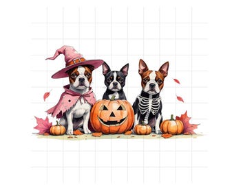 Boston Terrier Halloween PNG: Dog Clipart, Witch, Skeleton, Pumpkins (Digital Download