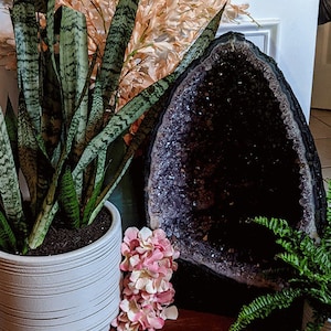 HUGE Amethyst Cathedral Geode Amethyst Base Clusters Crystal Quartz Geodes Deep Purple 150 lbs 25 inches tall Freestanding Healing Crystals