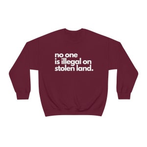 No One Is Illegal on Stolen Land Pullover, Schütze Einwanderer Shirt, Beschütze Träumer Menschenrechte Shirt Gleichheit Shirt, Soziale Gerechtigkeit Shirt Bild 5