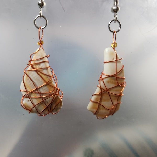 Genuine Cape Cod Quahog Shell Earrings