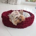 see more listings in the Chunky Pet Bedding section