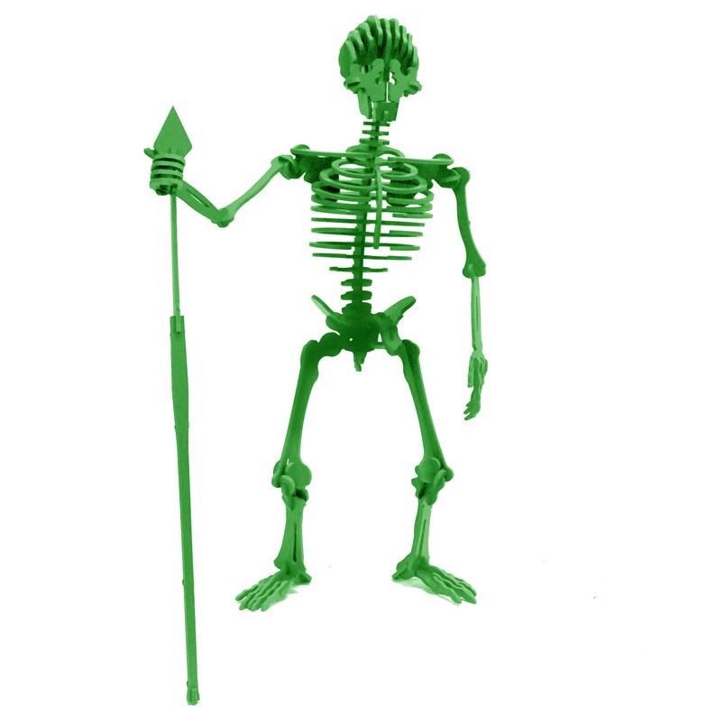 human skeleton toy