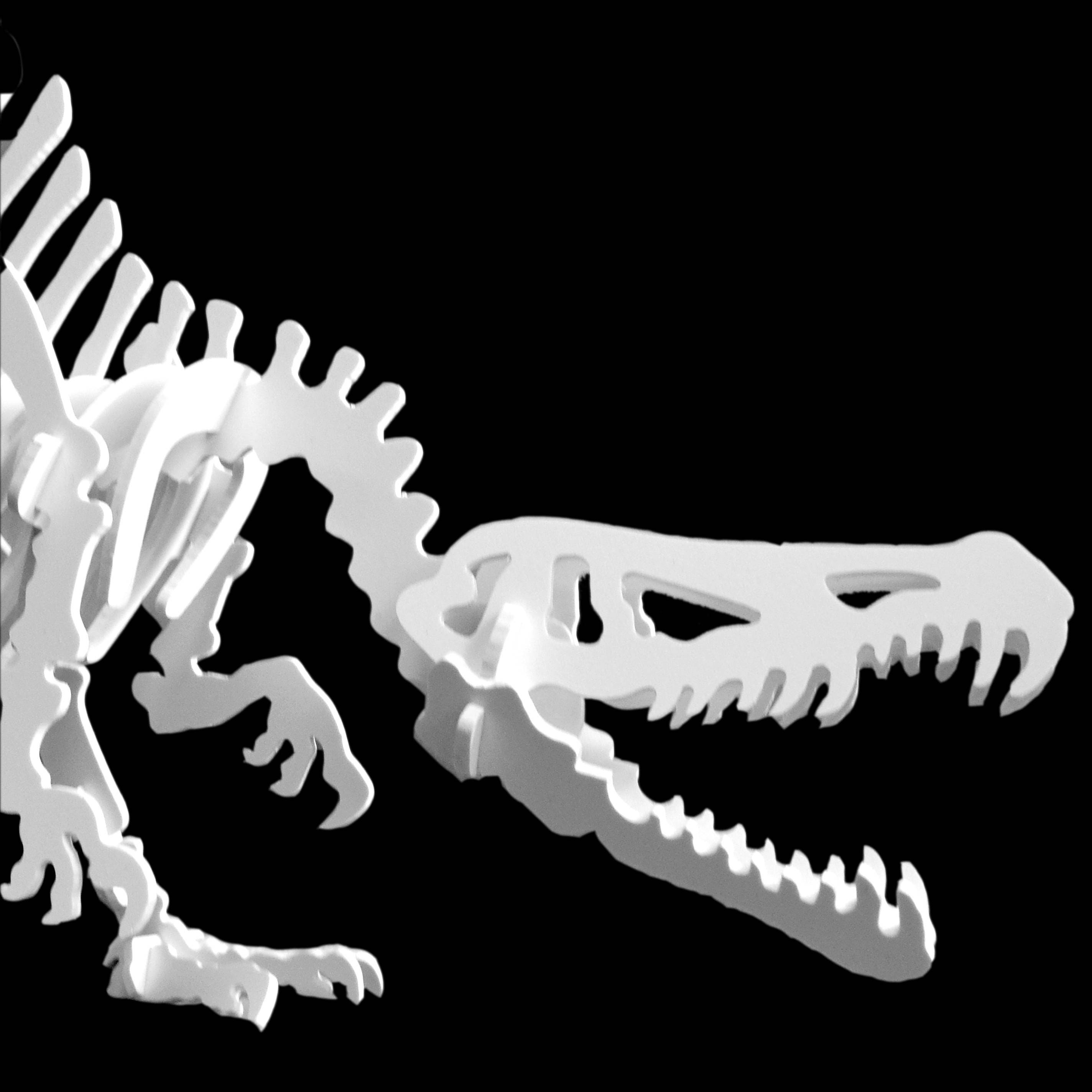 Dinosaur Skeleton Dinosaur Toy 3D Dinosaur Skeleton Puzzle | Etsy