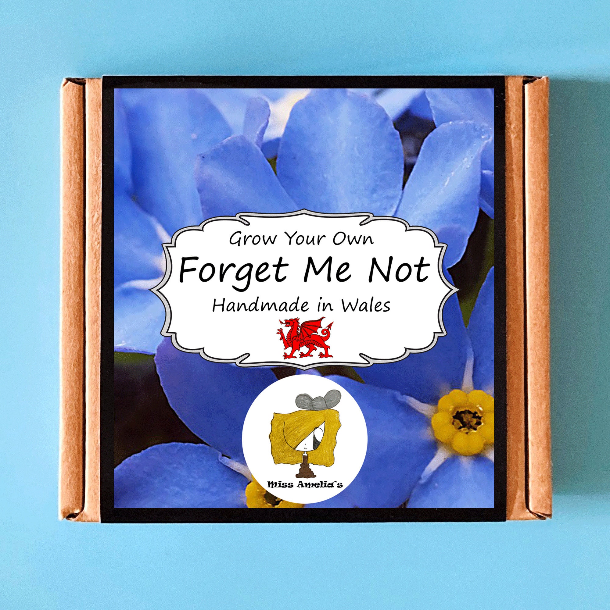 Grow Your Own Me Not Plant Kit. Indoor Gardening Gift. Etsy