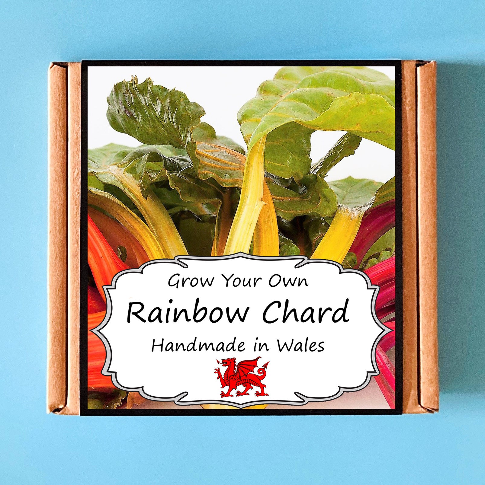 Grow Your Own Rainbow Chard Plant Kit indoor gardening gift Etsy