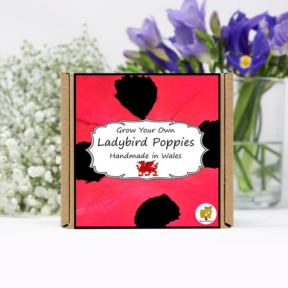 Grow Your Own Ladybird Poppy Plant Kit. Gardening Gift, Birthday, Personalised, Kids, Flower Seeds