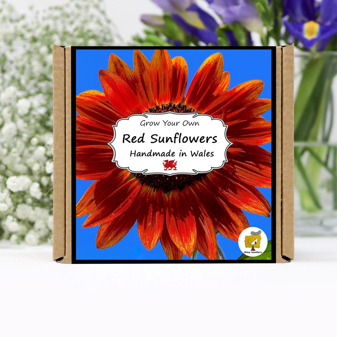 Grow Your Own Red Sunflower Plant Kit Gardening Gift Gift for Her