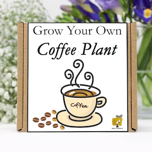Unusual Gardening Gift | Grow Your Own Coffee | Gift For His Birthday | Gifts For Her Birthday | Letterbox Gift | Handmade Gift