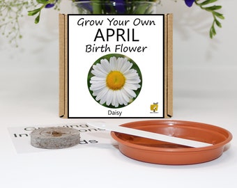 Grow Your Own April Birth Flower. Gardening Birthday Gift.