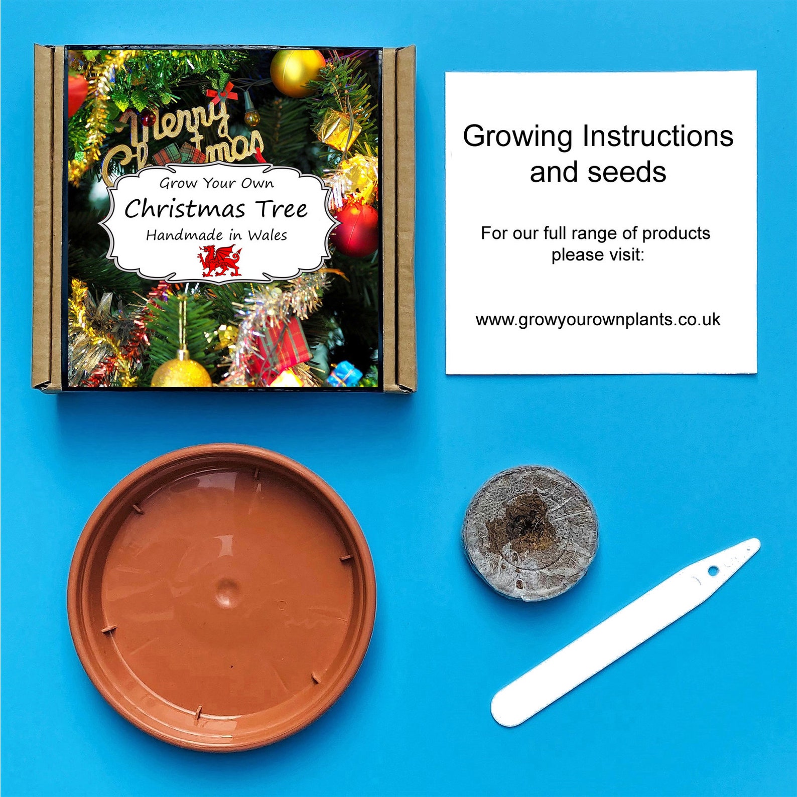 Grow Your Own Christmas Tree Kit Indoor Gardening Gift Etsy