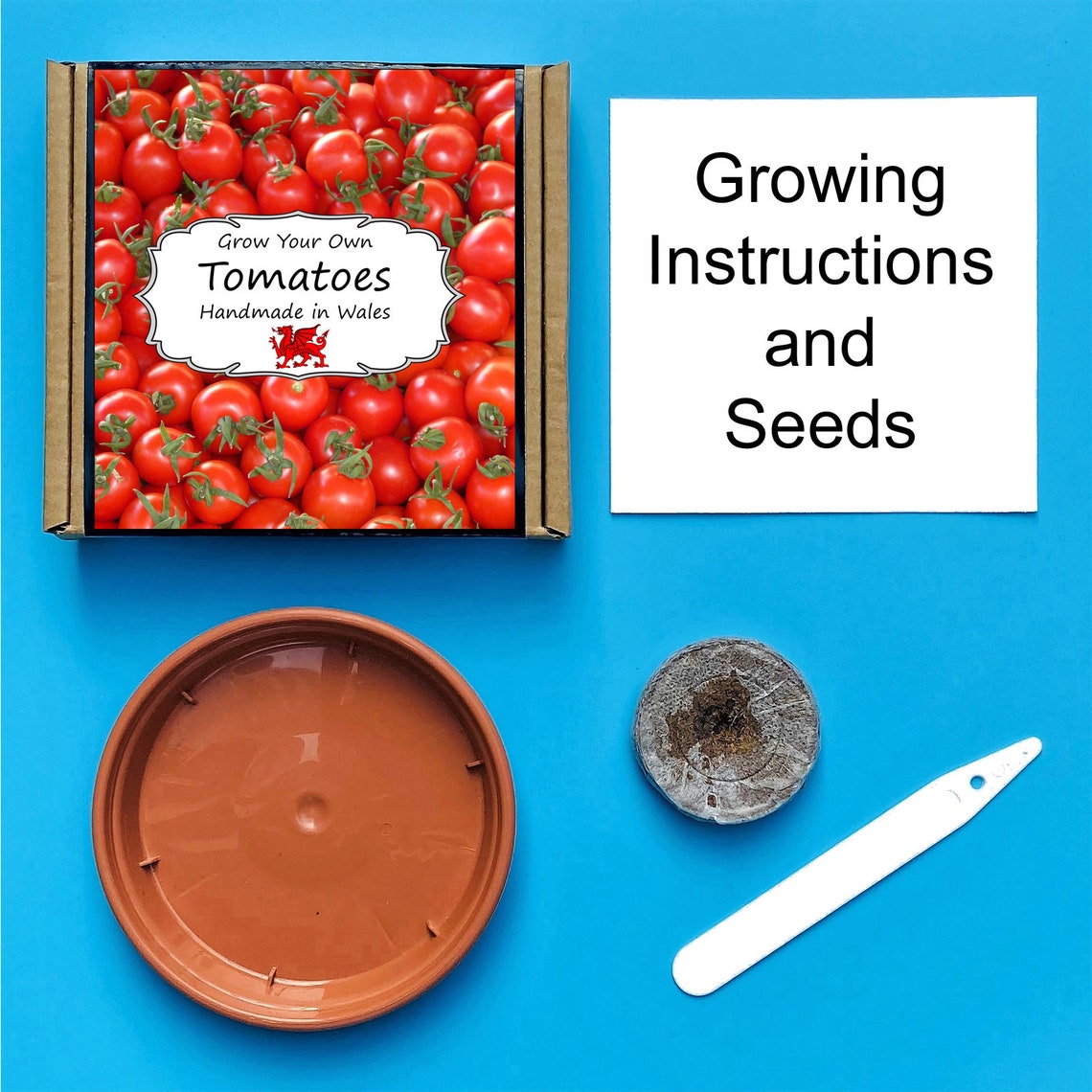 Grow Your Own Tomato Plant Kit indoor gardening gift for Etsy