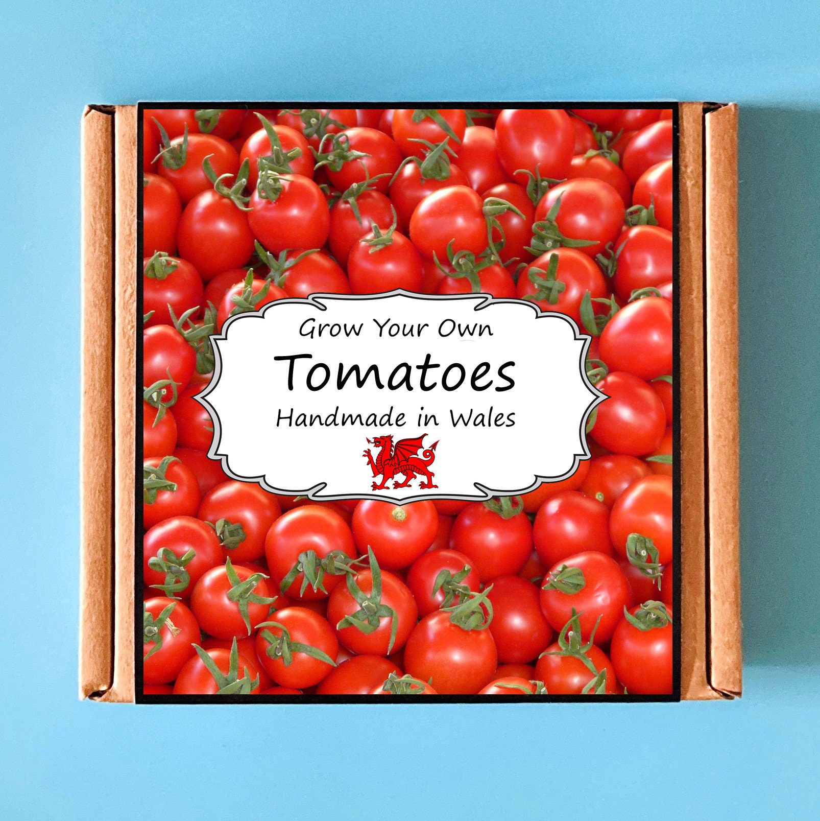 Grow Your Own Tomato Plant Kit indoor gardening gift for Etsy