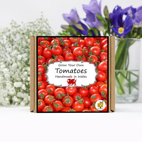 Grow Your Own Tomatoes Plant Kit. Gardening Gift, Birthday, Personalised, Kids, Salad Seeds