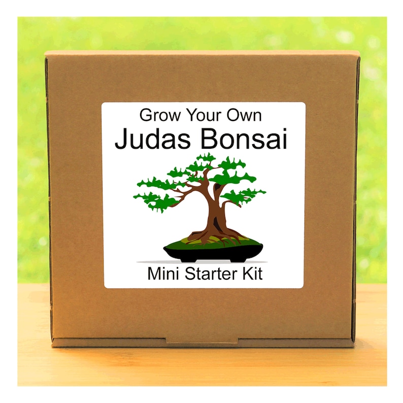 Gift Republic Grow It Grow Your Own Bonsai Trees Ideal Gift