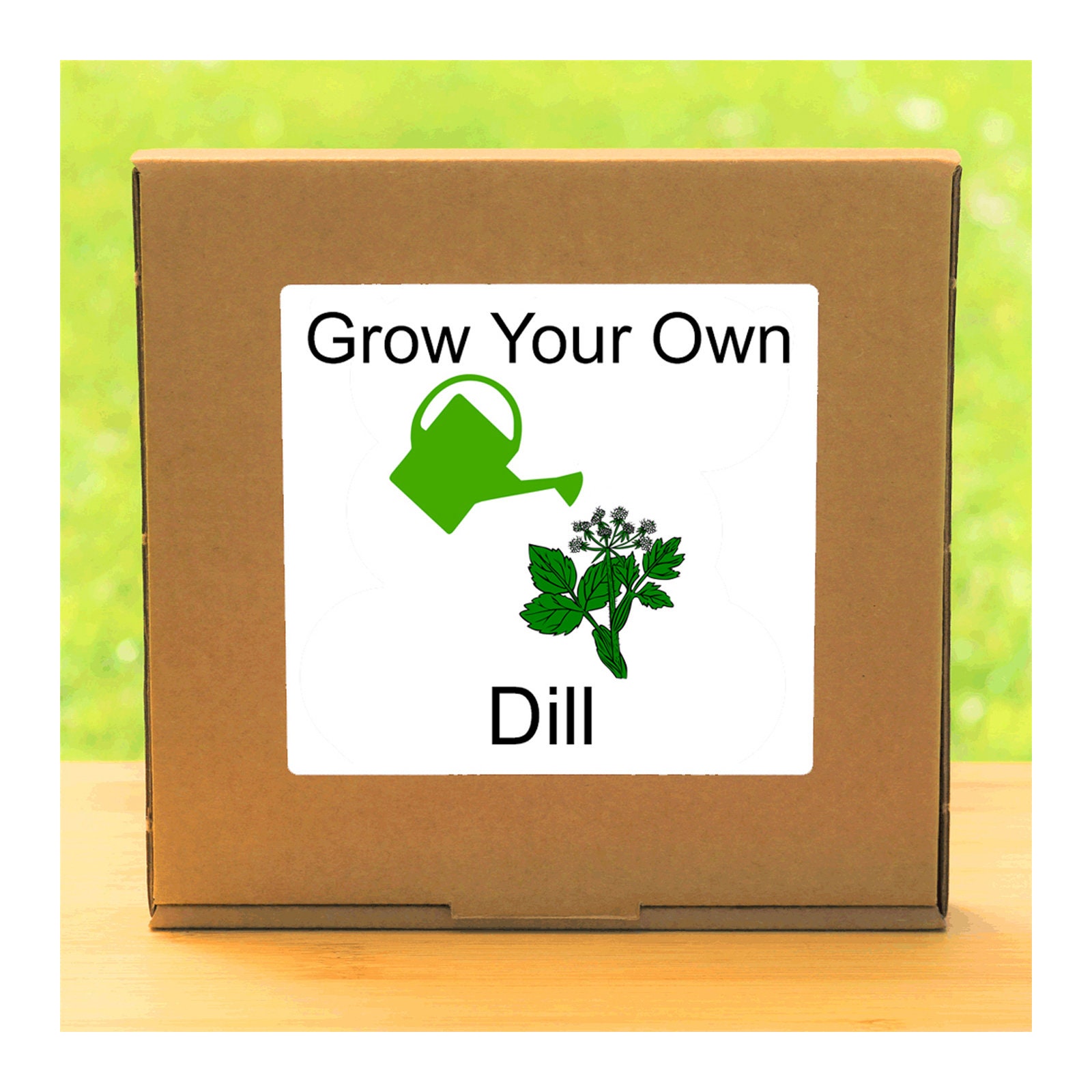 Windowsill Herb Garden Grow Your Own Dill Plant Growing Kit