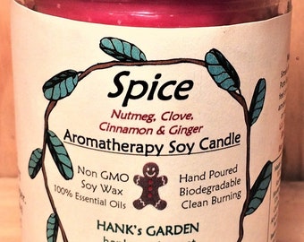 SPICE Aromatherapy Soy Candle - Nutmeg, Clove, Cinnamon & Ginger - Holiday or Anytime, Clean Burn, Natural Dyes Wicks, Biodegradable