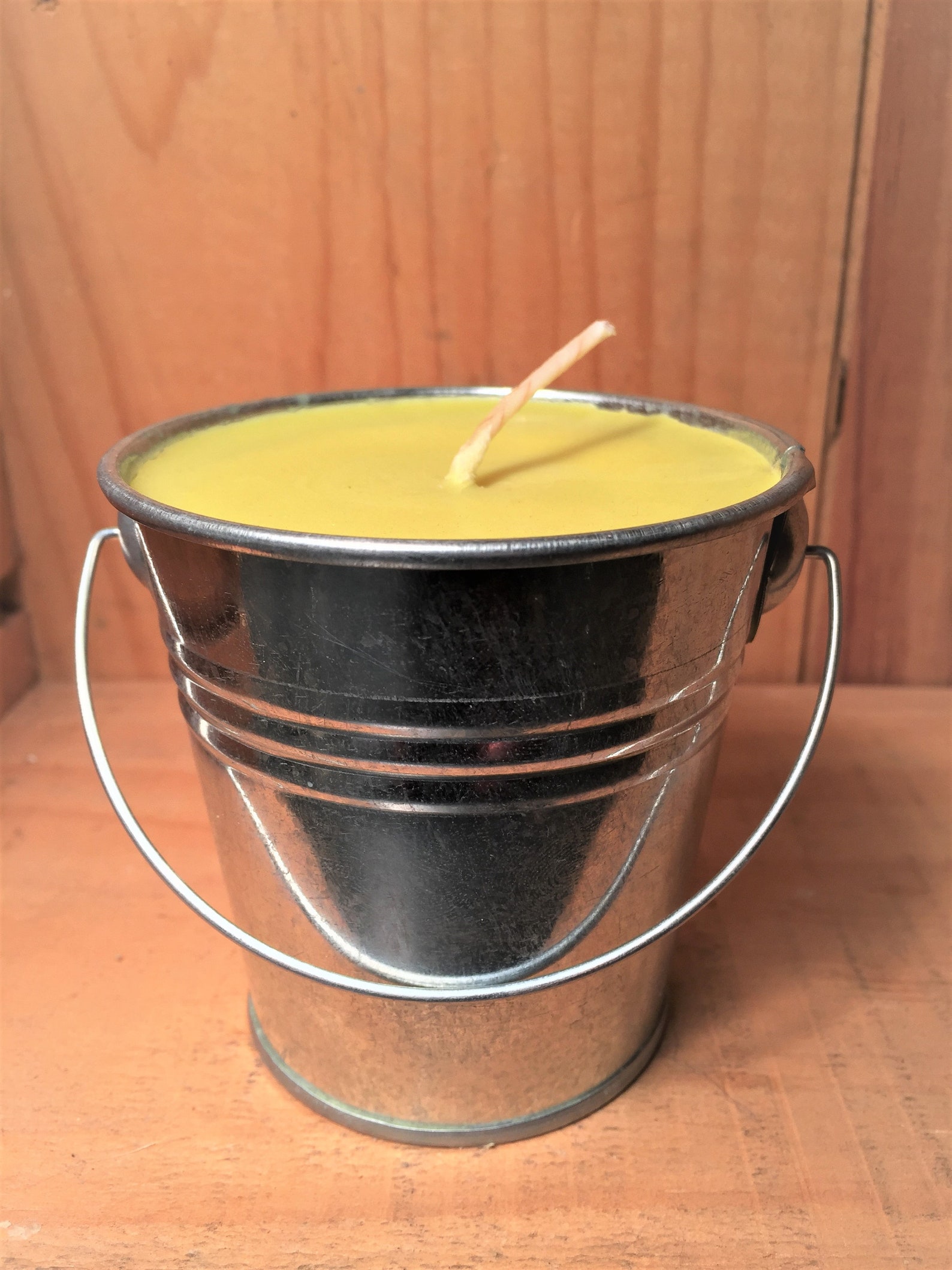 BUG AWAY Aromatherapy Soy Candle Repels Chiggers Gnats Etsy
