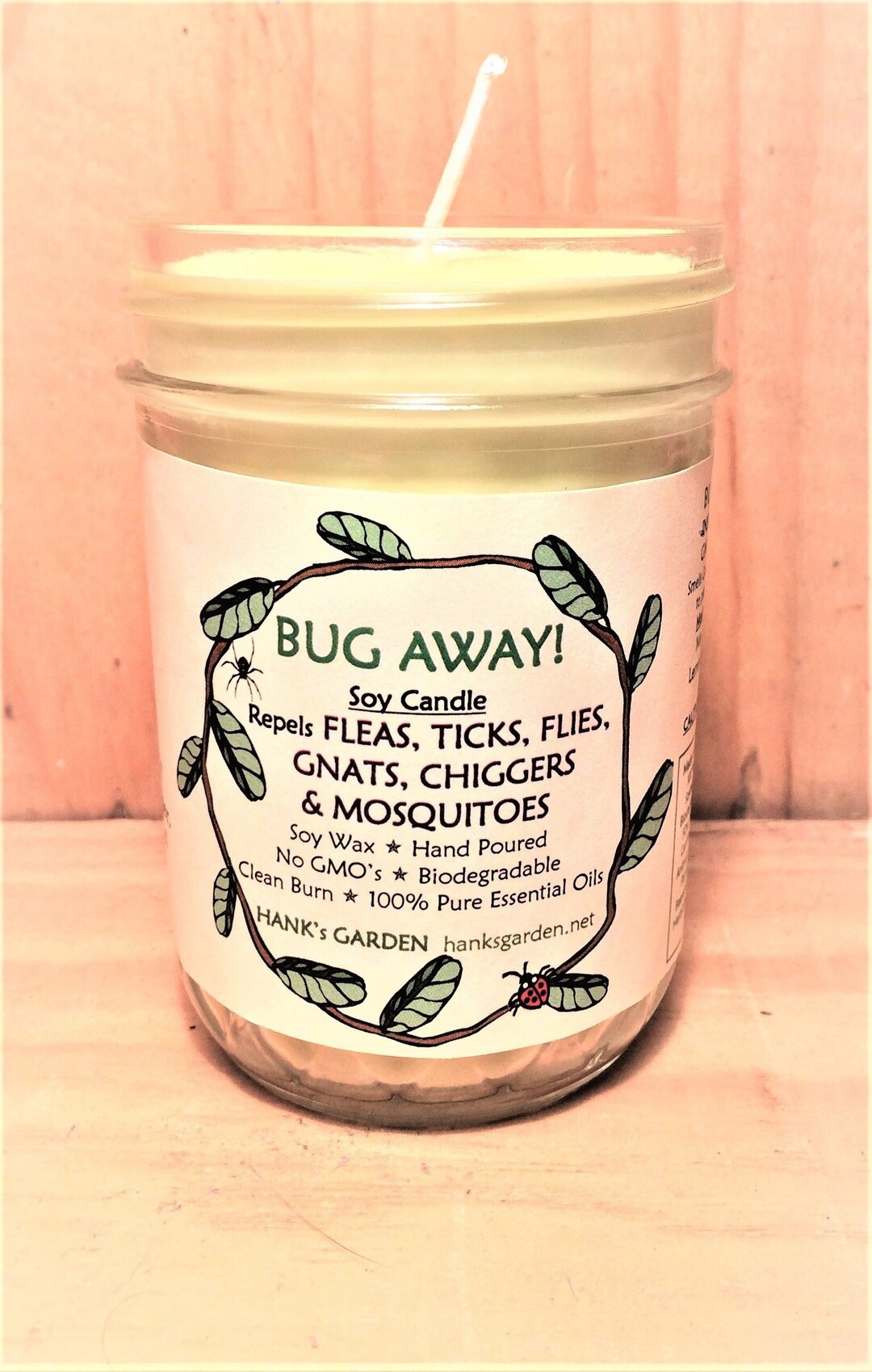 BUG AWAY Aromatherapy Soy Candle Repels Chiggers Gnats Etsy