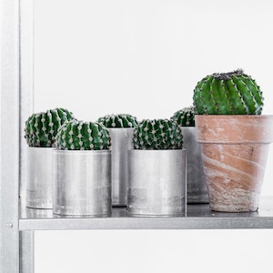 flowerpot ATMOS