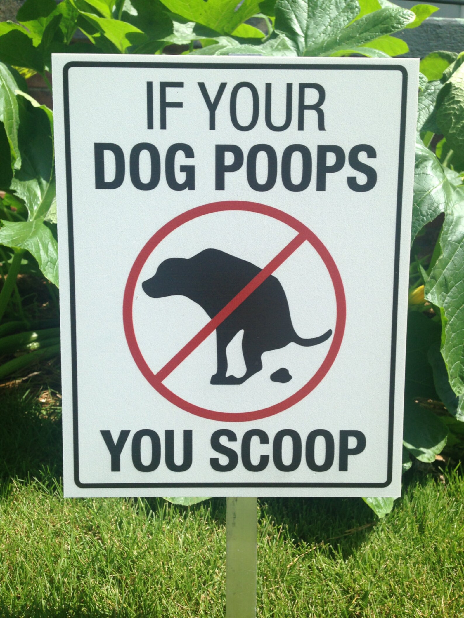 If Your Dog Poops You Scoop Etsy