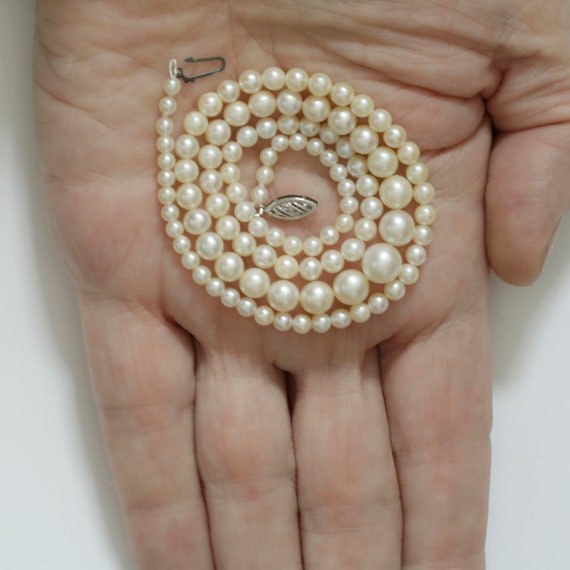 Pearl Necklace. Vintage Graduated 