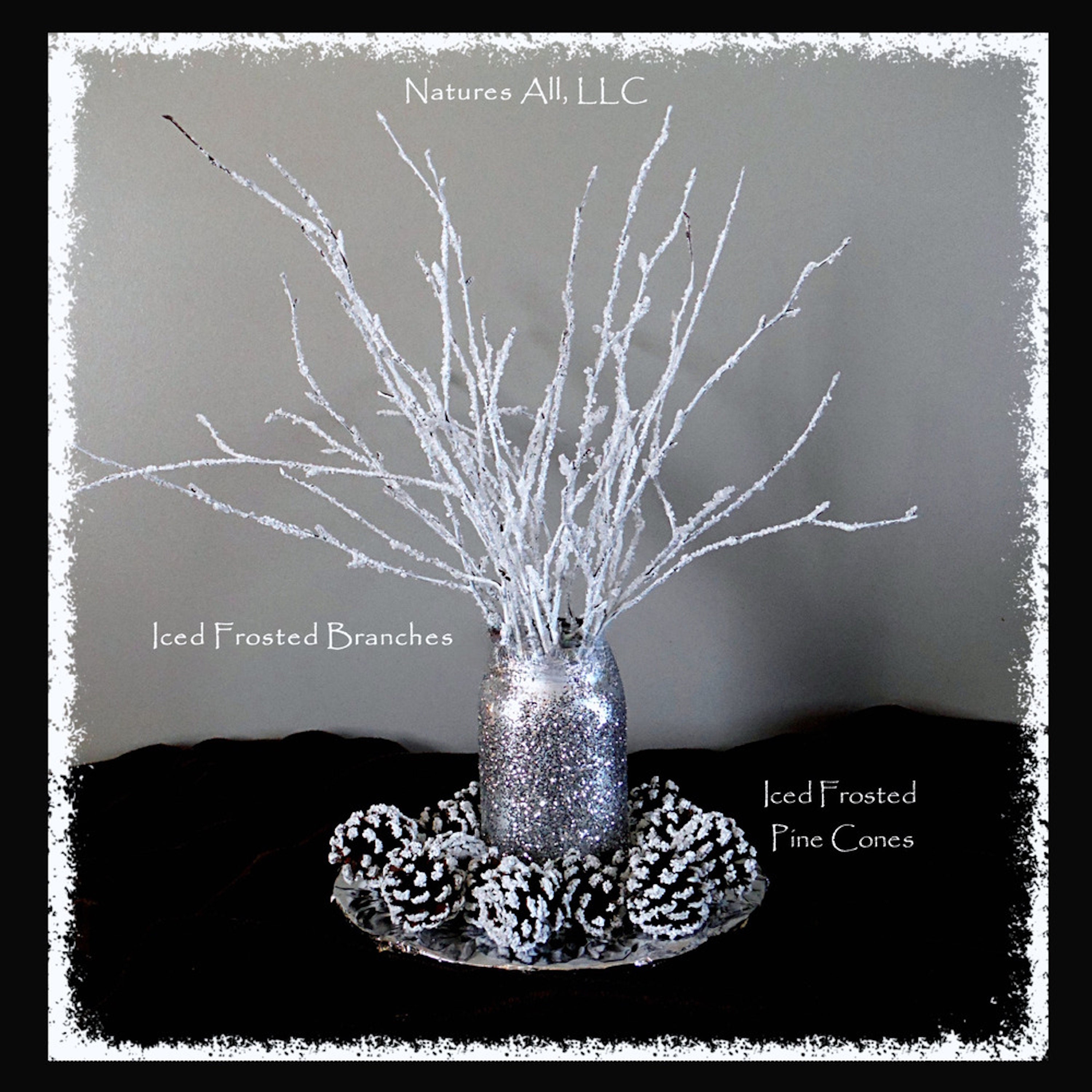 Frosted Pinecones – HW Designs and Giftware