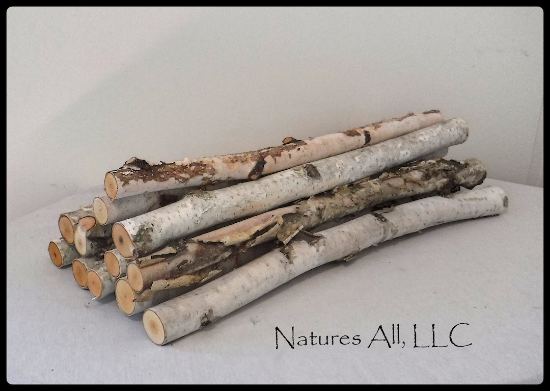 Decorative White Birch Sticks/birch Sticks/20 Inch Lengths/10 Piece