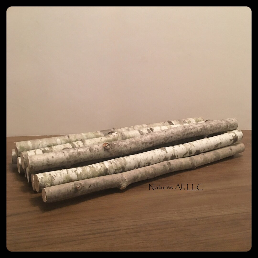 Decorative Sticks Vase Branches Planter Flower Pot Sticks Aspen Poles Decorations 10 Piece Set