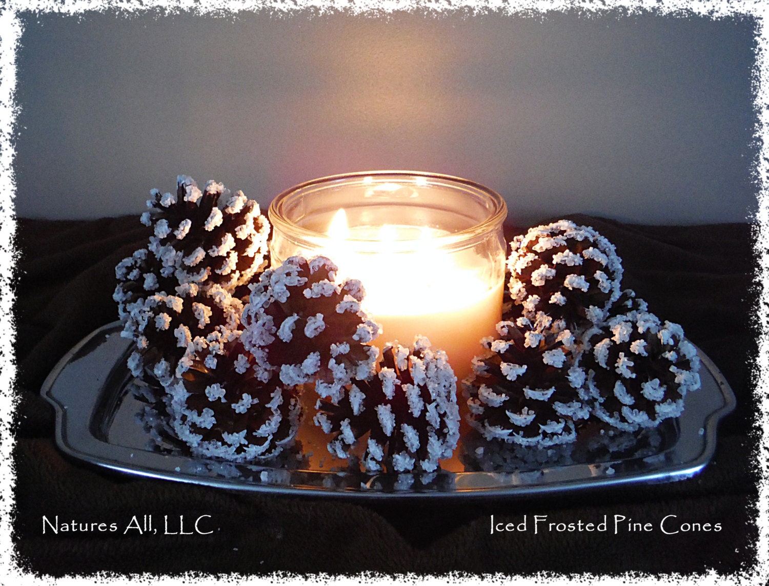 Iced Frosted Pine Cones/winter Decor/20 Piece Box/for Rustic Winter Home  Décor/shipping Included 