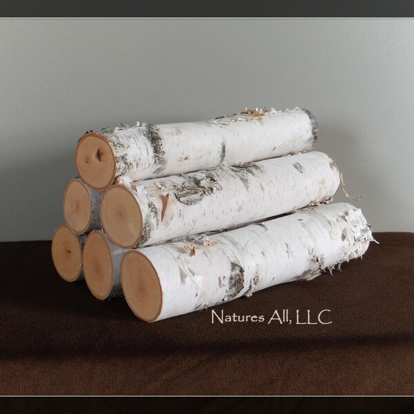 White Birch Fireplace Logs/KILN DRIED/6 Piece Set/3-4 inch Diameters/16 Inch /Rustic Wedding & Home Décor/Shipping Included