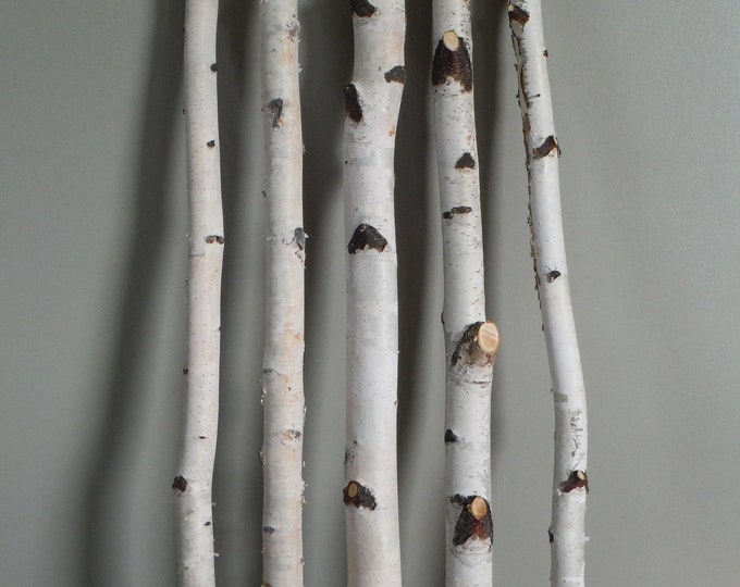 White Birch Sticks/decorative White Birch/ 5 PC/3 Ft. Etsy