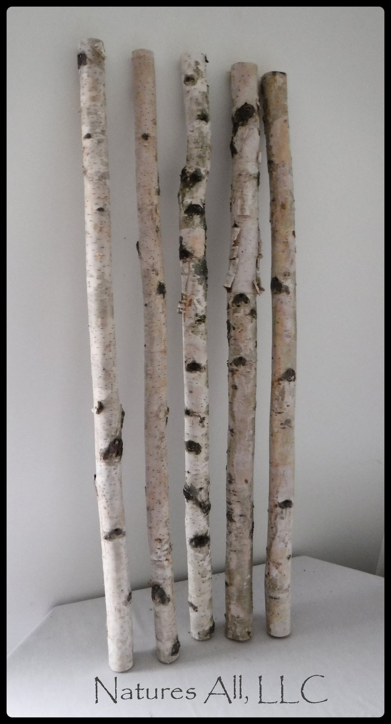 White Birch Sticks/Decorative White Birch/ 5 PC/3 Ft. Etsy