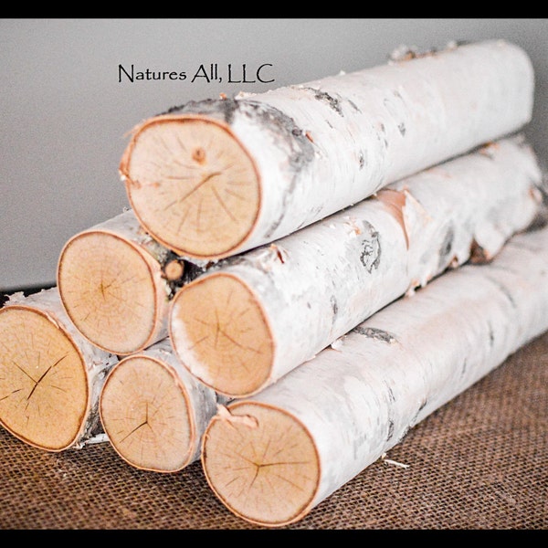 Decorative White Birch Fireplace Logs/6 Piece Set/2.25-3 Inch Diameters/16 Inch Lengths/ Home Décor/Shipping Included