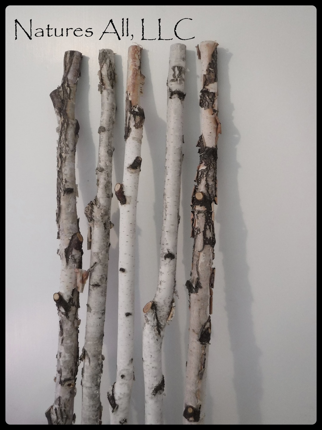 White Birch Sticks/decorative White Birch/ 5 PC/3 Ft. Etsy