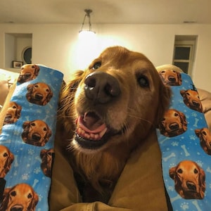 Calcetines para perros personalizados: ponga a su lindo perro en calcetines personalizados, amantes de los perros, regalo para perros, lindo perro personalizado, calcetines de regalo para perros, regalo del Día del Padre