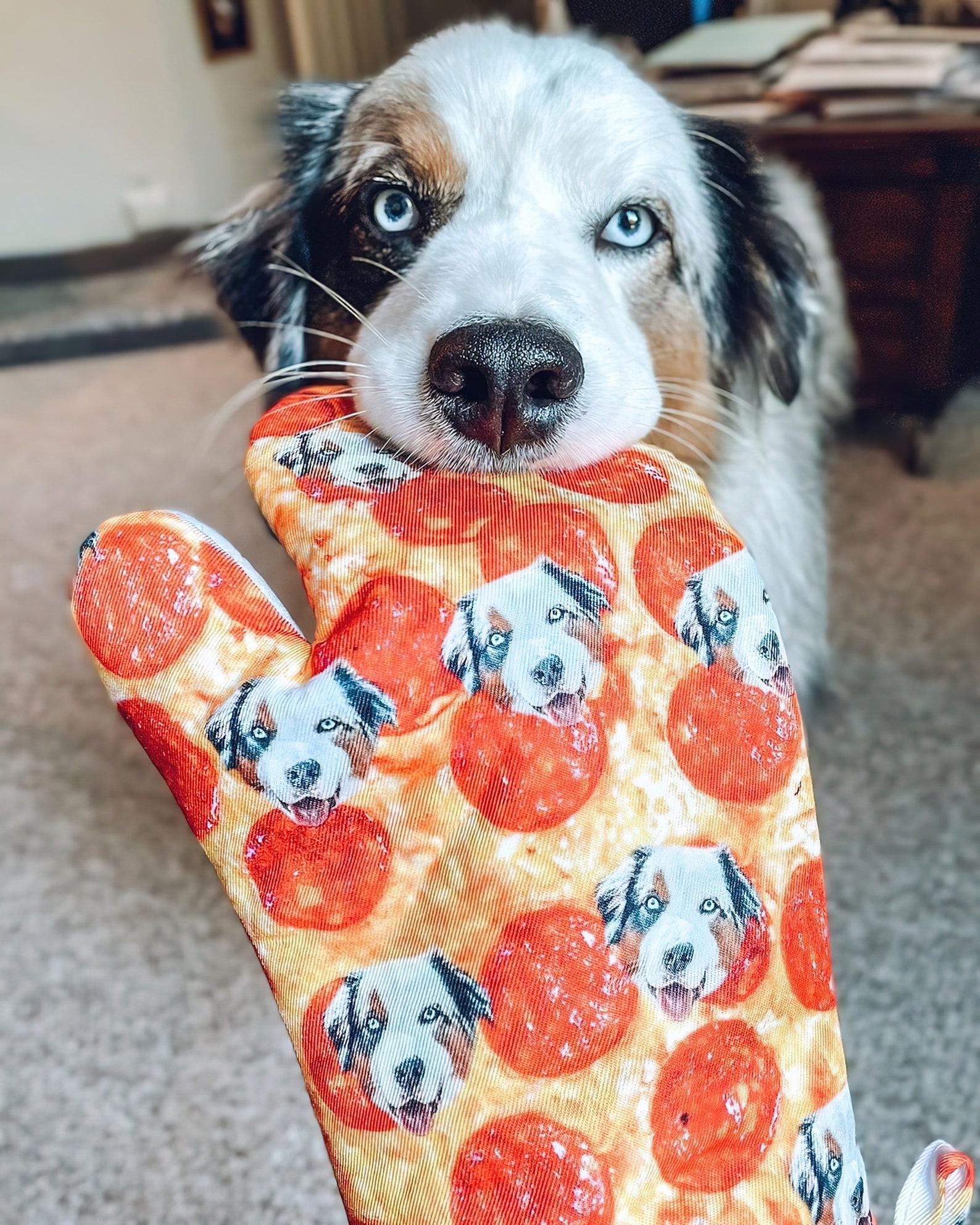 Customized Dog Mitt Put Your Cute Dog on Custom Oven Mitts, Dog Lovers, Dog Gift, Dog