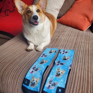 Customized Dog Socks Put Your Cute Dog on Custom Socks, Dog Lovers, Dog GIft, Dog Personalized, Dog Gift Socks,Fathers Day Gift,Graduation image 6