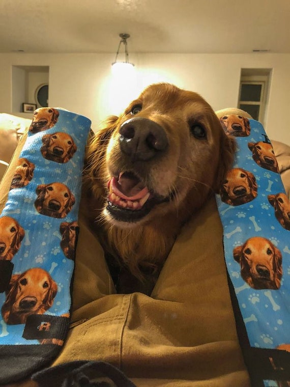 29 Funny Dog Products And Gifts That Will Make Owners Laugh Out Loud