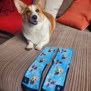 Chaussettes pour chiens personnalisées Mettez votre chien mignon sur des chaussettes personnalisées, amoureux des chiens, cadeau pour chien, chien mignon personnalisé, chaussettes cadeaux pour chiens, cadeau de la fête des Pères image 6