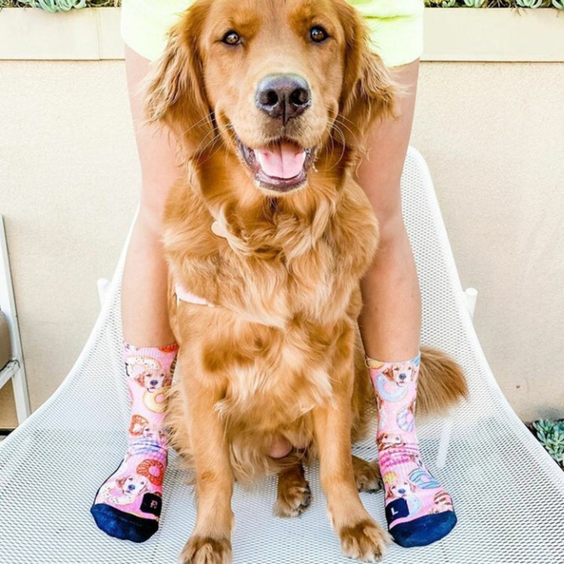 Customized Dog Socks Put Your Cute Dog on Custom Socks Dog Etsy