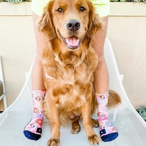 Chaussettes pour chiens personnalisées Mettez votre chien mignon sur des chaussettes personnalisées, amoureux des chiens, cadeau pour chien, chien mignon personnalisé, chaussettes cadeaux pour chiens, cadeau de la fête des Pères image 5