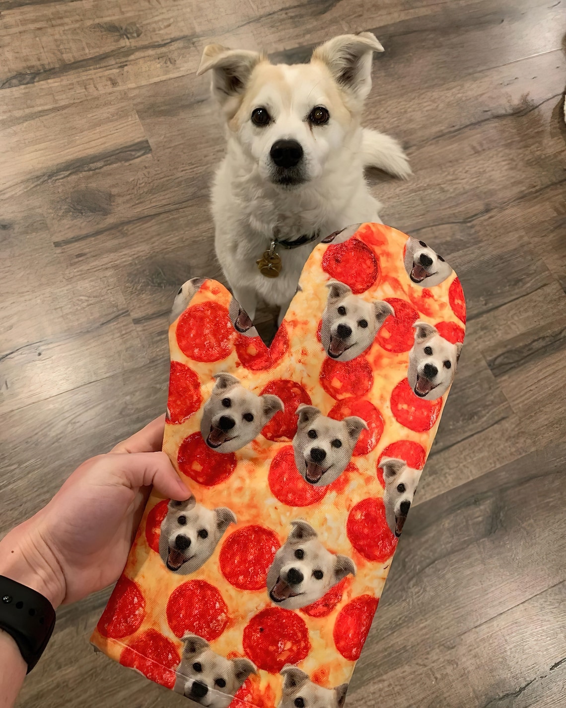 Customized Dog Mitt Put Your Cute Dog on Custom Oven Mitts Etsy