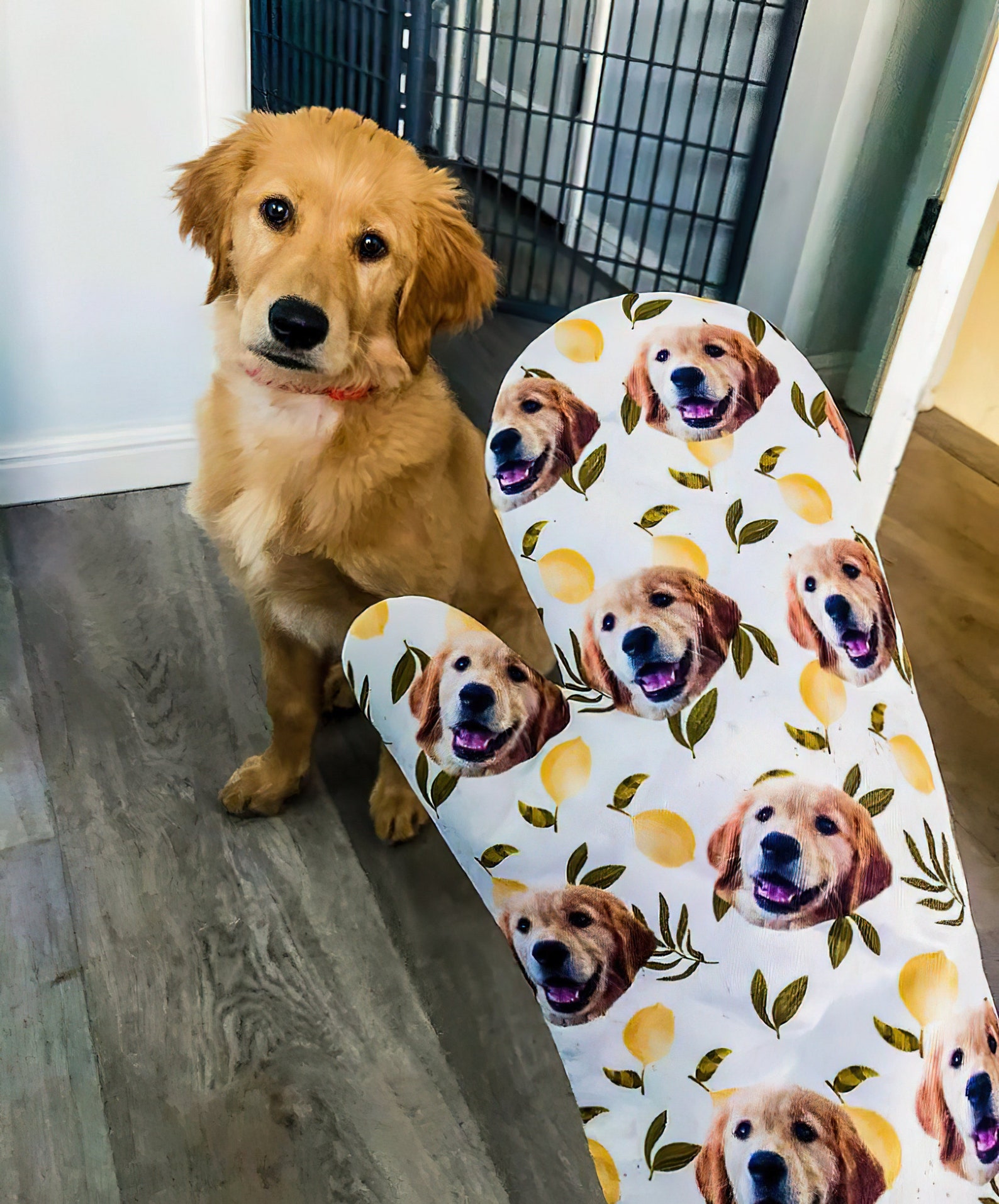 Customized Dog Mitt - Put Your Cute Dog on Custom Oven Mitts