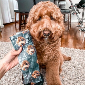 Chaussettes pour chiens personnalisées Mettez votre chien mignon sur des chaussettes personnalisées, amoureux des chiens, cadeau pour chien, chien mignon personnalisé, chaussettes cadeaux pour chiens, cadeau de la fête des Pères image 7