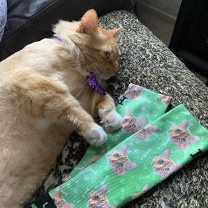 Custom Cat Printed Socks Customized Photo Socks Personalized Socks Custom Printed Socks Picture Socks Gift Socks image 5