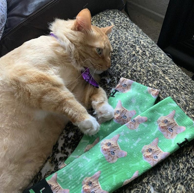 Custom Cat Printed Socks Customized Photo Socks Personalized Socks Custom Printed Socks Picture Socks Gift Socks image 5