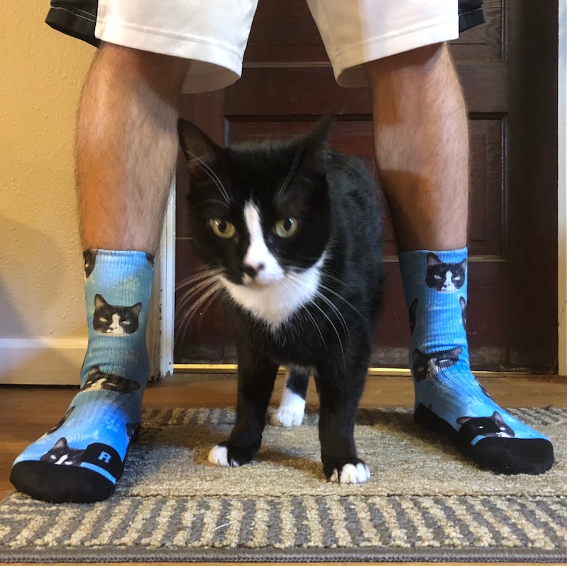 May include: A black and white cat with a white chest and paws stands in front of a person wearing blue socks with cat faces printed on them. The socks are pulled up to the calves.