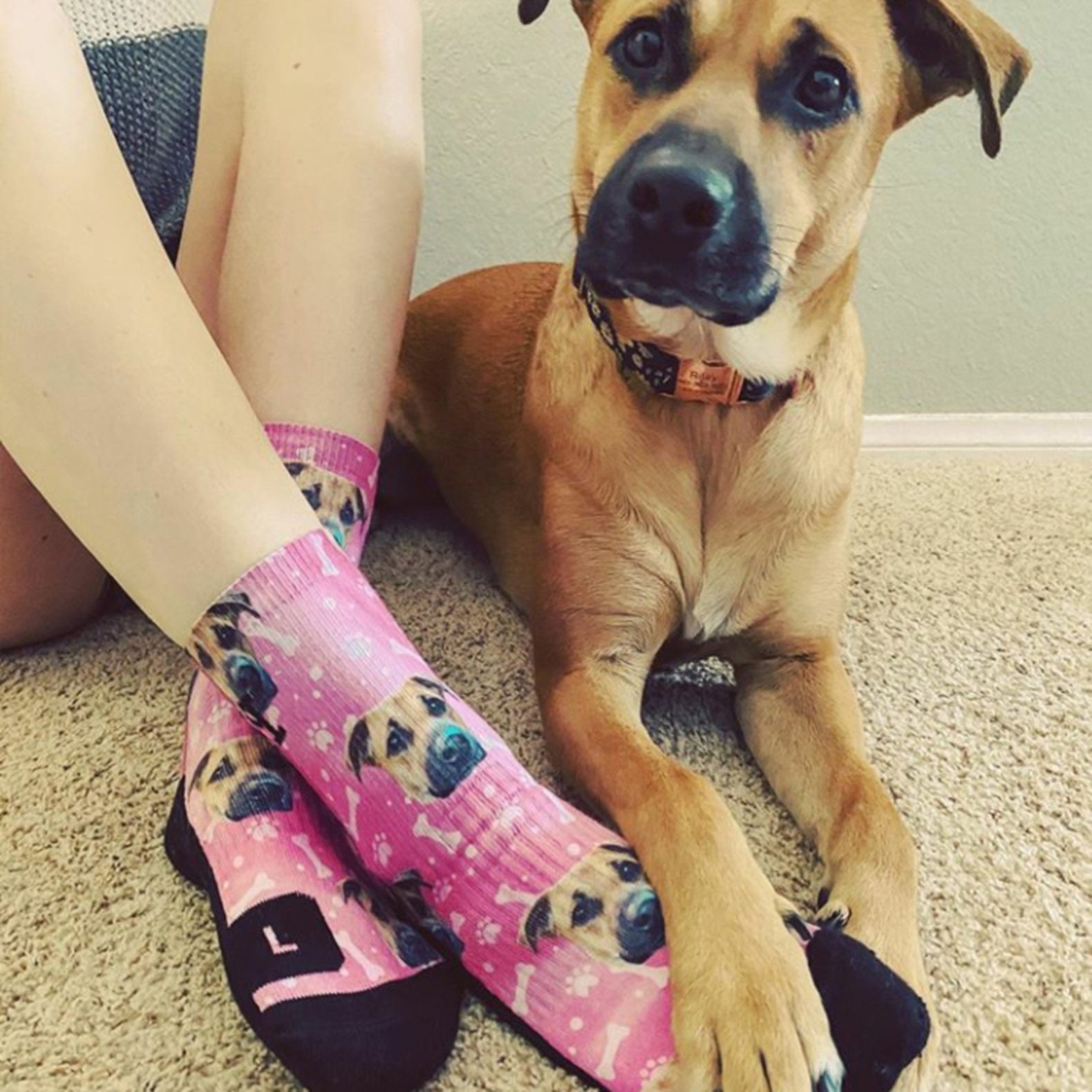 Customized Dog Socks Put Your Cute Dog on Custom Socks Dog Lovers